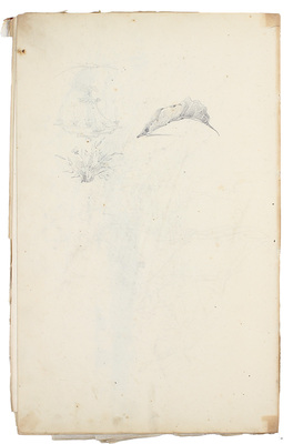 Штернберг Василий Иванович. Альбом рисунков с пейзажами, портретами и набросками 